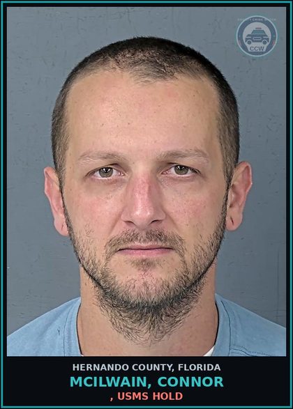 CCW arrest card for MCILWAIN, CONNOR in Hernando County: 