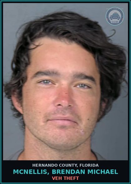 CCW arrest card for MCNELLIS, BRENDAN MICHAEL in Hernando County: VEH THEFT