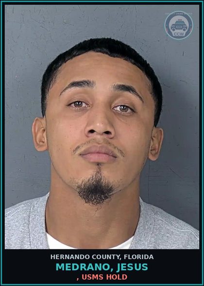 CCW arrest card for MEDRANO, JESUS in Hernando County: 