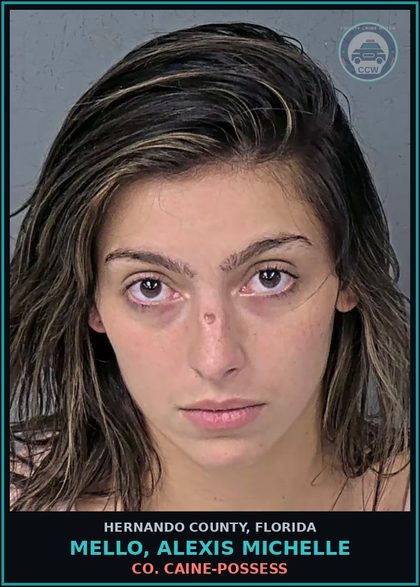 CCW arrest card for MELLO, ALEXIS MICHELLE in Hernando County: COCAINE-POSSESS