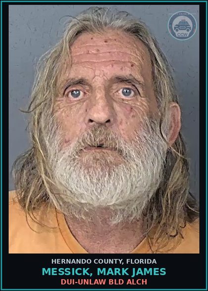 CCW arrest card for MESSICK, MARK JAMES in Hernando County: DUI-UNLAW BLD ALCH