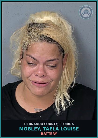CCW arrest card for MOBLEY, TAELA LOUISE in Hernando County: BATTERY