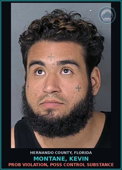CCW arrest card for MONTANE, KEVIN in Hernando County: SIMPLE ASSLT