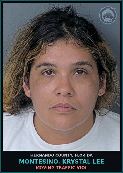 CCW arrest card for MONTESINO, KRYSTAL LEE in Hernando County: MOVING TRAFFIC VIOL