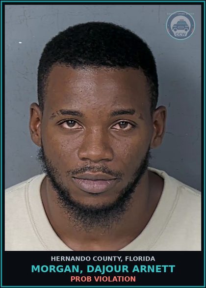 CCW arrest card for MORGAN, DAJOUR ARNETT in Hernando County: PROB VIOLATION