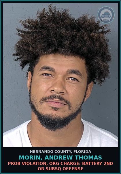 CCW arrest card for MORIN, ANDREW THOMAS in Hernando County: PROB VIOLATION