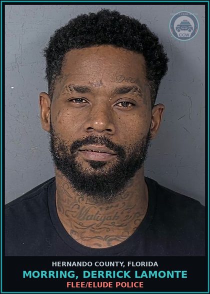 CCW arrest card for MORRING, DERRICK LAMONTE in Hernando County: FLEE/ELUDE POLICE