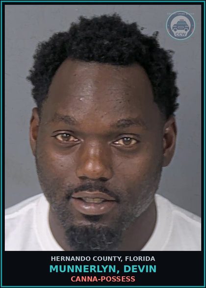 CCW arrest card for MUNNERLYN, DEVIN in Hernando County: Canna-POSSESS