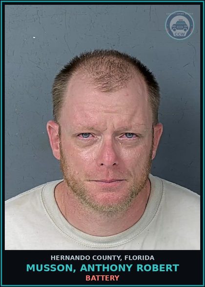 CCW arrest card for MUSSON, ANTHONY ROBERT in Hernando County: BATTERY