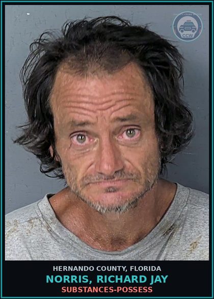 CCW arrest card for NORRIS, RICHARD JAY in Hernando County: DRUGS-POSSESS
