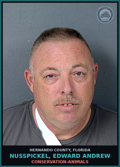 CCW arrest card for NUSSPICKEL, EDWARD ANDREW in Hernando County: CONSERVATION-ANIMALS
