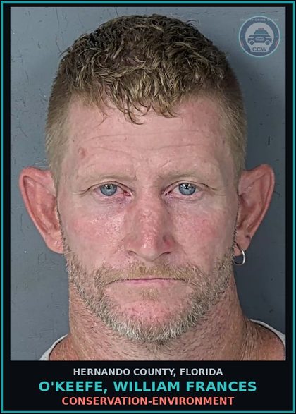 CCW arrest card for O'KEEFE, WILLIAM FRANCES in Hernando County: CONSERVATION-ENVIRONMENT