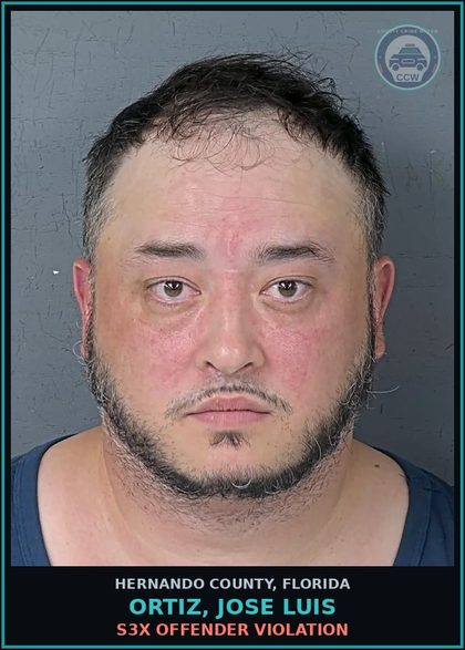 CCW arrest card for ORTIZ, JOSE LUIS in Hernando County: s3x OFFENDER VIOLATION