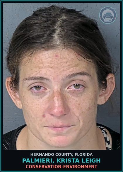 CCW arrest card for PALMIERI, KRISTA LEIGH in Hernando County: CONSERVATION-ENVIRONMENT