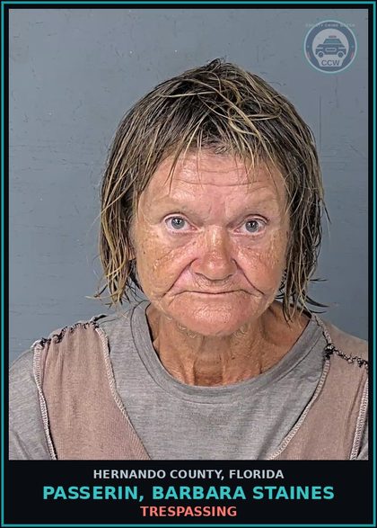 CCW arrest card for PASSERIN, BARBARA STAINES in Hernando County: TRESPASSING