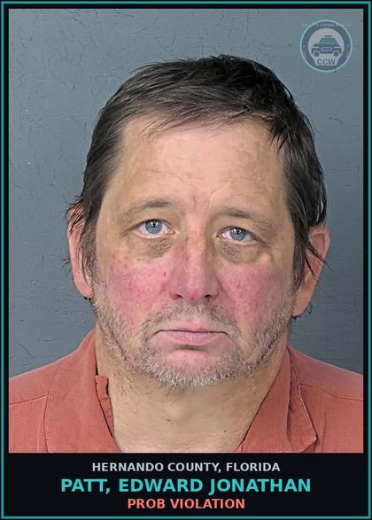 CCW arrest card for PATT, EDWARD JONATHAN in Hernando County: PROB VIOLATION