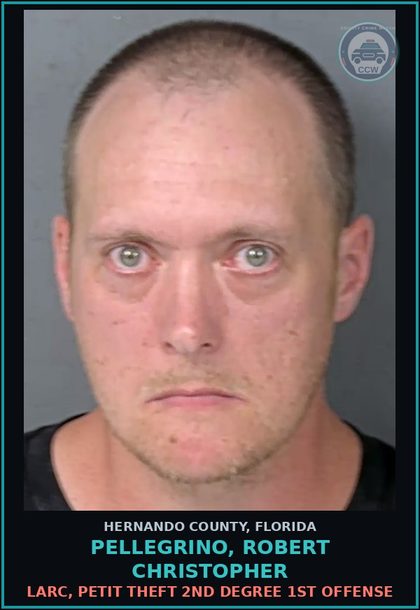 CCW arrest card for PELLEGRINO, ROBERT CHRISTOPHER in Hernando County: LARC, PETIT THEFT 2ND DEGREE 1ST OFFENSE
