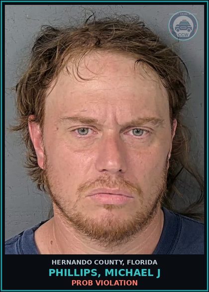 CCW arrest card for PHILLIPS, MICHAEL J in Hernando County: PROB VIOLATION