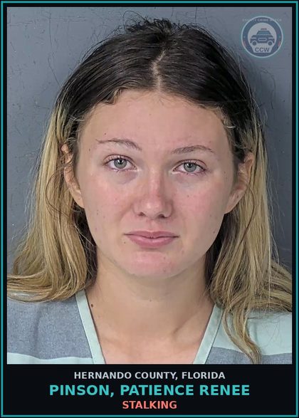 CCW arrest card for PINSON, PATIENCE RENEE in Hernando County: STALKING