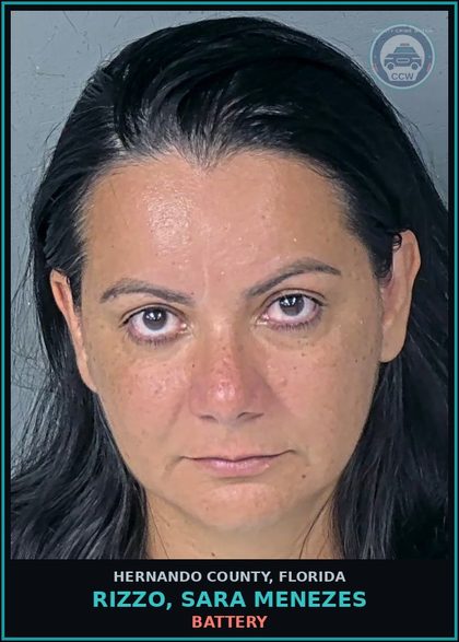CCW arrest card for RIZZO, SARA MENEZES in Hernando County: BATTERY