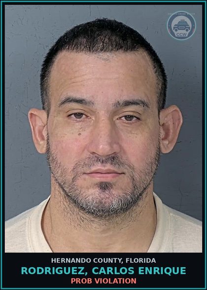 CCW arrest card for RODRIGUEZ, CARLOS ENRIQUE in Hernando County: PROB VIOLATION