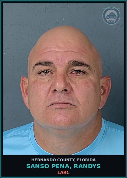 CCW arrest card for SANSO PENA, RANDYS in Hernando County: LARC