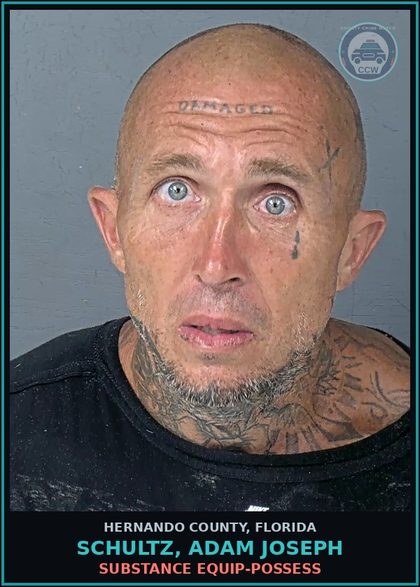 CCW arrest card for SCHULTZ, ADAM JOSEPH in Hernando County: DRUG EQUIP-POSSESS