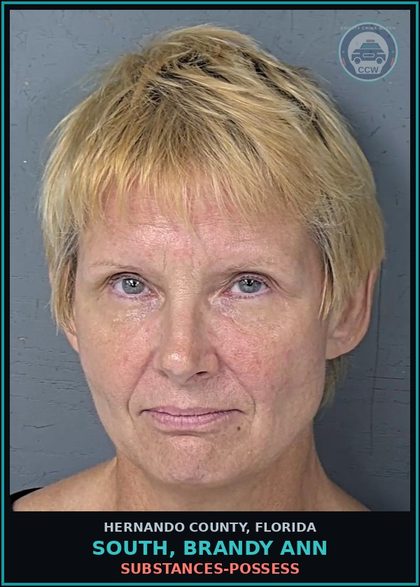 CCW arrest card for SOUTH, BRANDY ANN in Hernando County: DRUGS-POSSESS