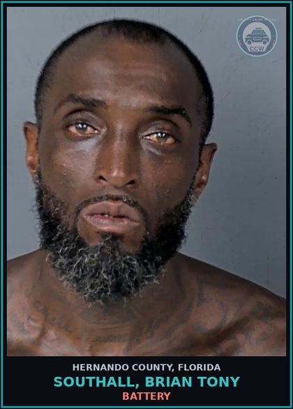 CCW arrest card for SOUTHALL, BRIAN TONY in Hernando County: BATTERY