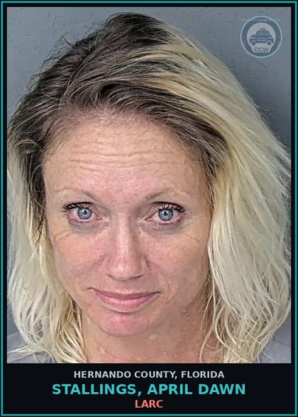 CCW arrest card for STALLINGS, APRIL DAWN in Hernando County: LARC