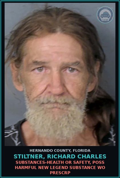 CCW arrest card for STILTNER, RICHARD CHARLES in Hernando County: BURGL