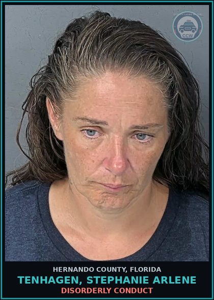 CCW arrest card for TENHAGEN, STEPHANIE ARLENE in Hernando County: DISORDERLY CONDUCT