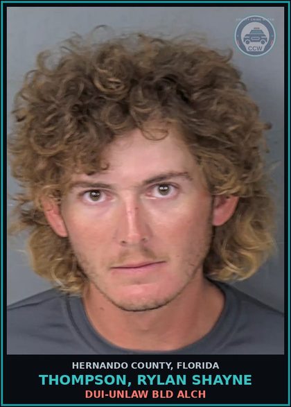 CCW arrest card for THOMPSON, RYLAN SHAYNE in Hernando County: DUI-UNLAW BLD ALCH