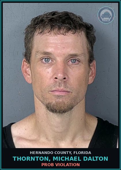 CCW arrest card for THORNTON, MICHAEL DALTON in Hernando County: PROB VIOLATION