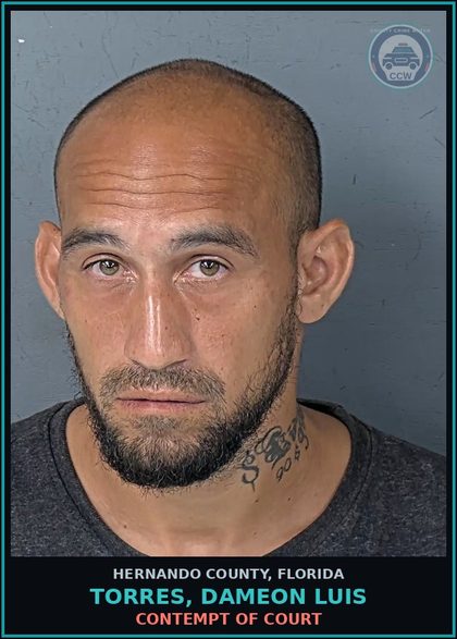 CCW arrest card for TORRES, DAMEON LUIS in Hernando County: CONTEMPT OF COURT