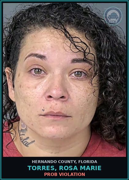 CCW arrest card for TORRES, ROSA MARIE in Hernando County: PROB VIOLATION