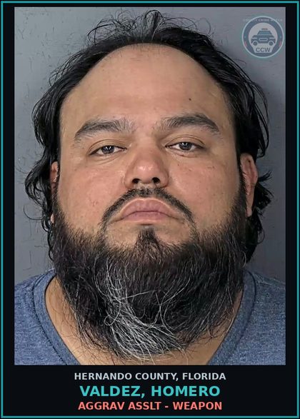 CCW arrest card for VALDEZ, HOMERO in Hernando County: AGGRAV ASSLT - WEAPON