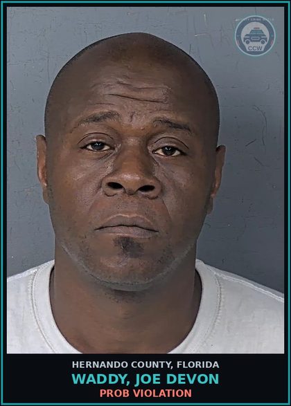 CCW arrest card for WADDY, JOE DEVON in Hernando County: PROB VIOLATION