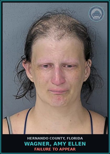 CCW arrest card for WAGNER, AMY ELLEN in Hernando County: FAILURE TO APPEAR
