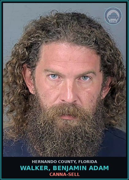 CCW arrest card for WALKER, BENJAMIN ADAM in Hernando County: Canna-SELL