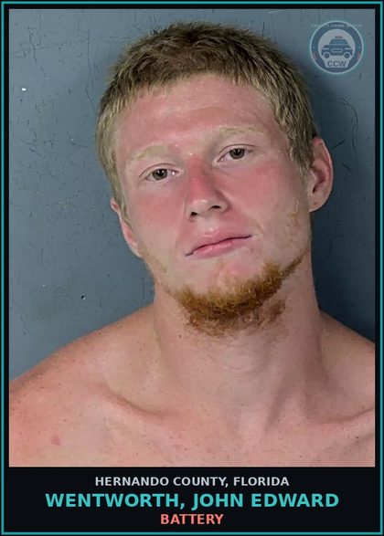 CCW arrest card for WENTWORTH, JOHN EDWARD in Hernando County: LOITERING