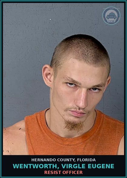 CCW arrest card for WENTWORTH, VIRGLE EUGENE in Hernando County: Canna-POSSESS