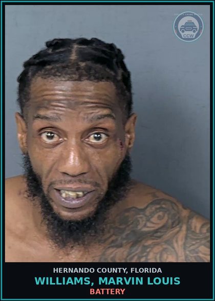 CCW arrest card for WILLIAMS, MARVIN LOUIS in Hernando County: BATTERY