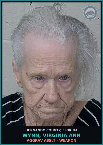 CCW arrest card for WYNN, VIRGINIA ANN in Hernando County: AGGRAV ASSLT - WEAPON
