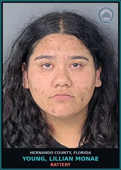 CCW arrest card for YOUNG, LILLIAN MONAE in Hernando County: BATTERY