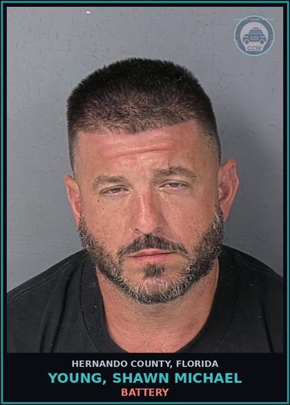 CCW arrest card for YOUNG, SHAWN MICHAEL in Hernando County: BATTERY