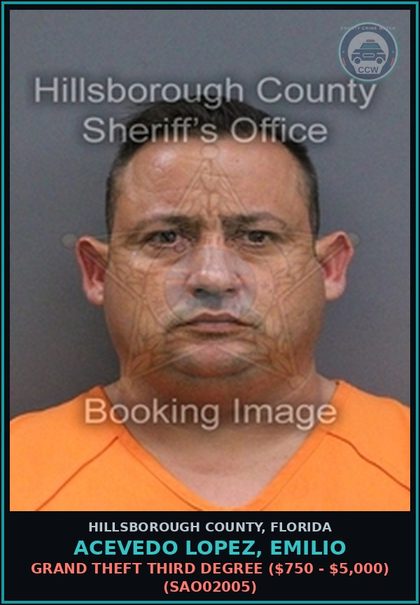 CCW arrest card for ACEVEDO LOPEZ, EMILIO in Hillsborough County: GRAND THEFT THIRD DEGREE ($750 - $5,000) (SAO02005)