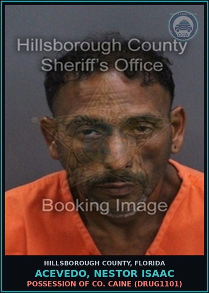 CCW arrest card for ACEVEDO, NESTOR ISAAC in Hillsborough County: POSSESSION OF COCAINE (DRUG1101)