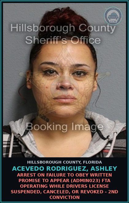 CCW arrest card for ACEVEDO RODRIGUEZ, ASHLEY in Hillsborough County: ARREST ON FAILURE TO OBEY WRITTEN PROMISE TO APPEAR (ADMIN023) FTA OPERATING WHILE DRIVERS LICENSE SUSPENDED, CANCELED, OR REVOKED - 2ND CONVICTION