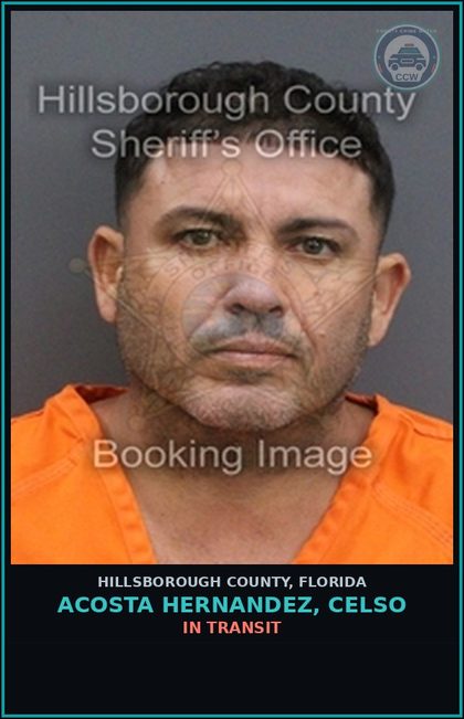 CCW arrest card for ACOSTA HERNANDEZ, CELSO in Hillsborough County: In Transit
